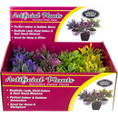 Simply Home Artificial 6" Succulent Potted Plant 12 Count