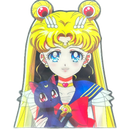 Sailor moon Anime 3D Sticker