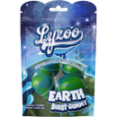 Lyzoo Earth Gummy 6 Count