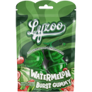 Lyzoo Watermelon Gummy 6 Count